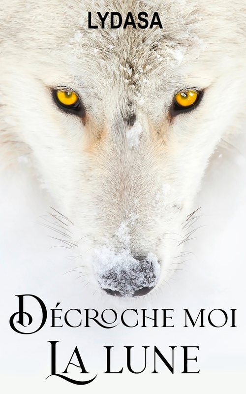 ebook cover of Décroche moi la lune, by Lydasa
