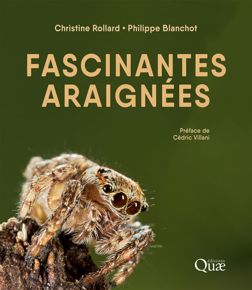 ebook cover of Fascinantes araignées, by Philippe Blanchot, Christine Rollard