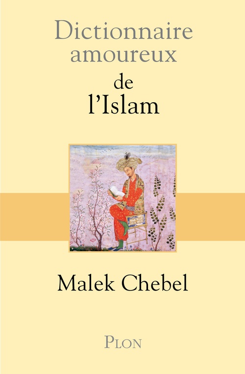 ebook cover of Dictionnaire Amoureux de l'Islam, by Malek Chebel