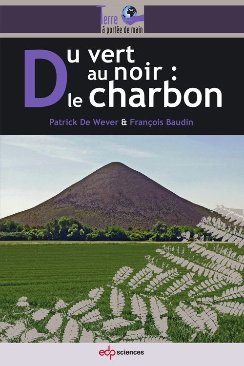 Couverture ebook de Du vert au noir : le charbon, de Patrick De Wever