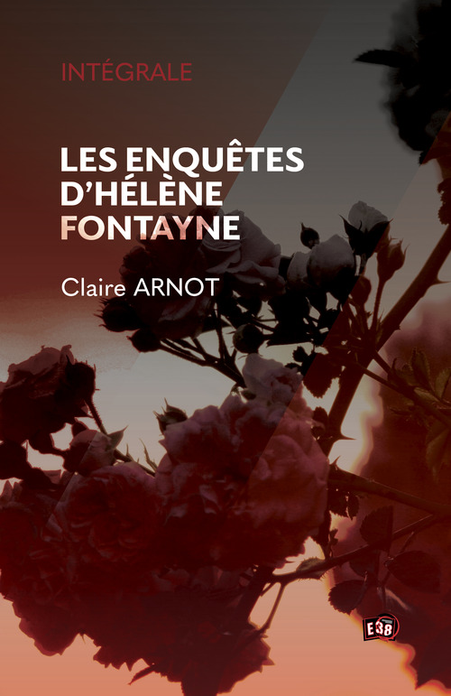 ebook cover of Les enquêtes d'Hélène Fontayne, by Claire Arnot