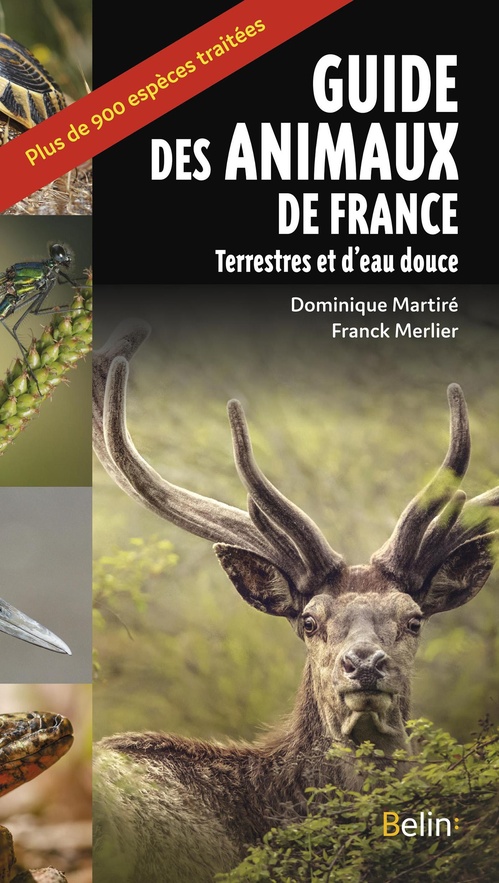 Couverture ebook de Guide des animaux de France : Terrestres et eau douce, de Dominique Martiré, Franck Merlier