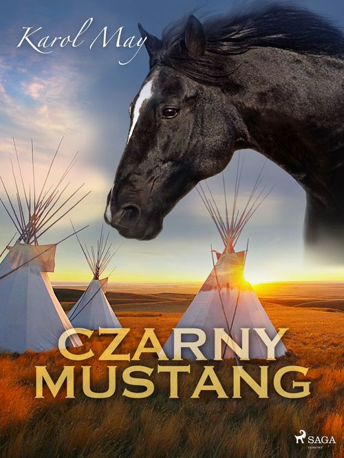 ebook cover of Czarny Mustang, by Karol May