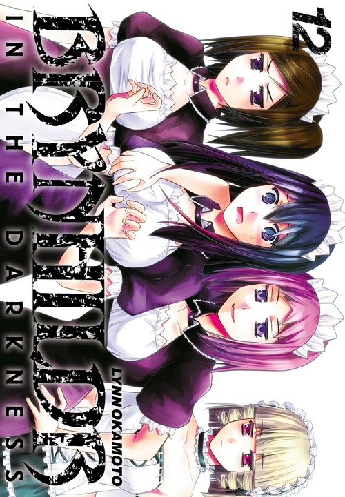 Couverture ebook de Brynhildr in the Darkness T12, de Lynn Okamoto