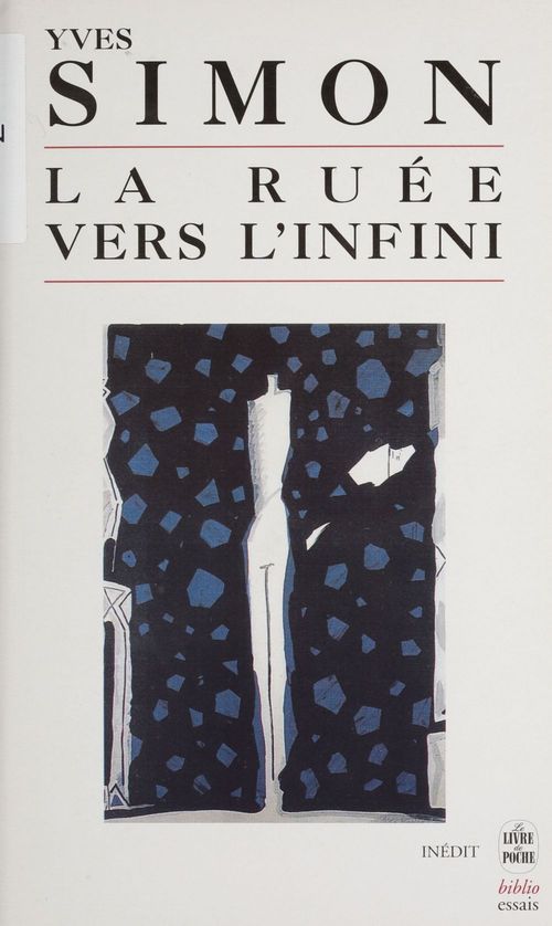 ebook cover of La ruée vers l'infini, by Simon-Y