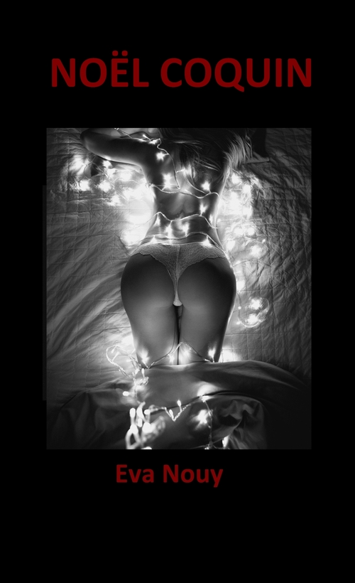 ebook cover of NOËL COQUIN, by Eva Nouy