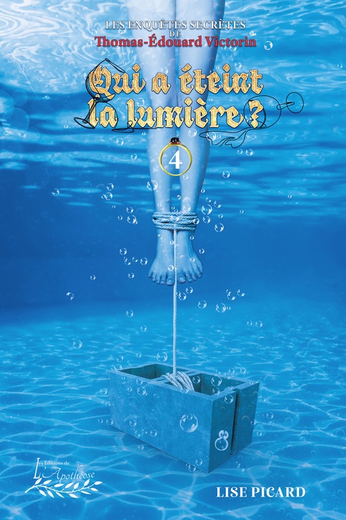 Couverture ebook de Qui a éteint la lumière, de Lise Picard