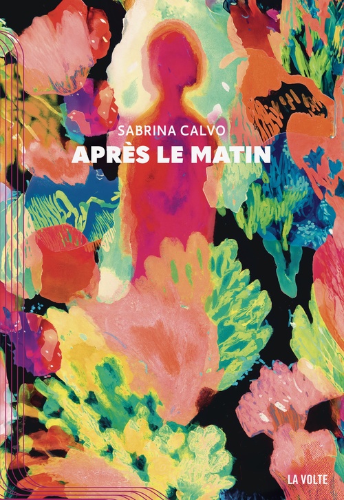 ebook cover of Après le matin, by Sabrina Calvo