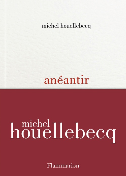 Couverture ebook de Anéantir, de Michel Houellebecq
