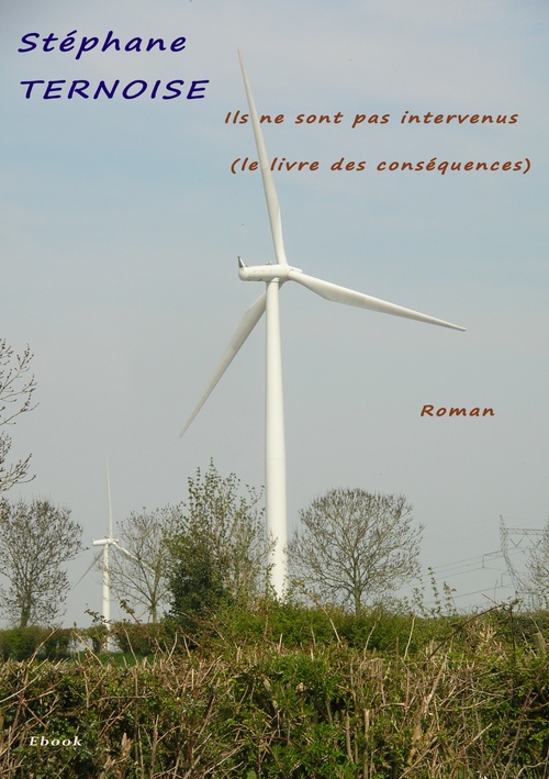 Couverture ebook de Ils ne sont pas intervenus, de Stéphane Ternoise