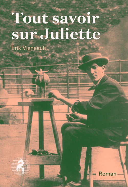 ebook cover of Tout savoir sur Juliette, by Vigneault Erik