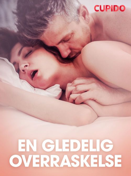ebook cover of En gledelig overraskelse - erotiske noveller, by Cupido