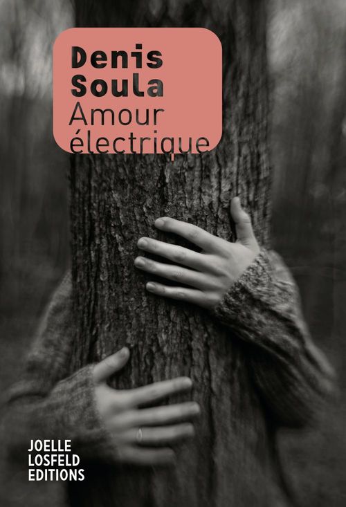 ebook cover of Amour électrique, by Denis Soula