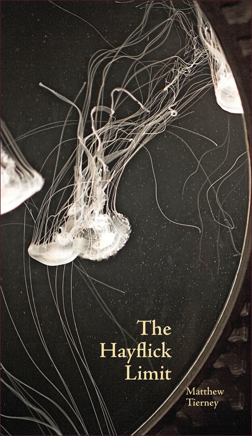 ebook cover of The Hayflick Limit, by Matthew Tierney