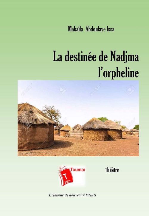 ebook cover of La destinée de Nadjma l'orpheline, by Abdoulaye Issa Makaila