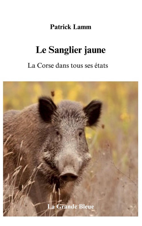 Couverture ebook de Le Sanglier jaune, de Patrick Lamm