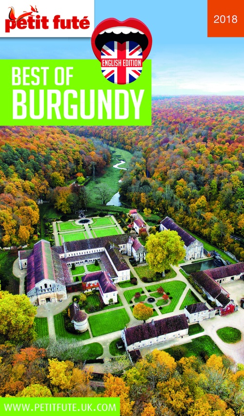 ebook cover of BEST OF BURGUNDY 2018/2019 Petit Futé, by Collectif petit futé