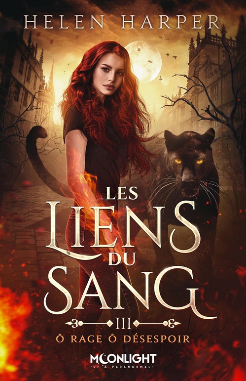 ebook cover of Ô rage ô désespoir, by Helen Harper