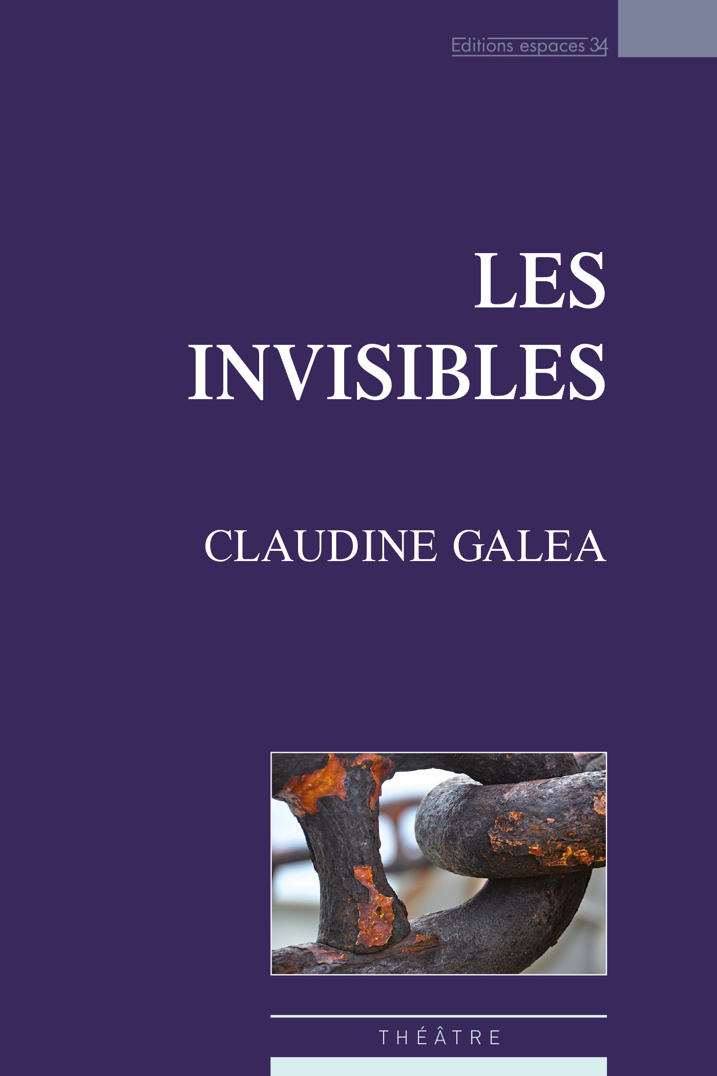 ebook cover of Les Invisibles, by Claudine Galéa