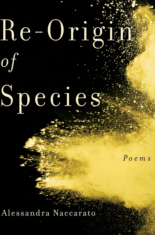 Couverture ebook de Re-Origin of Species, de Alessandra Naccarato