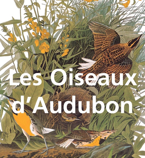Couverture ebook de Les Oiseaux d'Audubon, de John-James Audubon