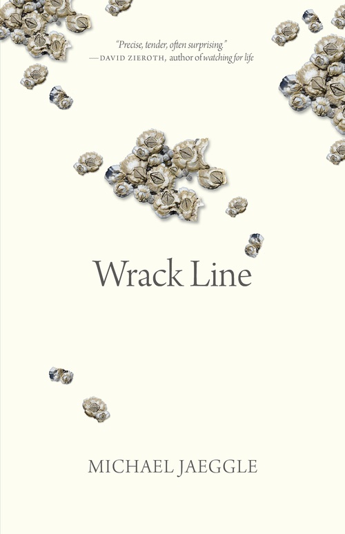 ebook cover of Wrack Line, by M.W. Jaeggle