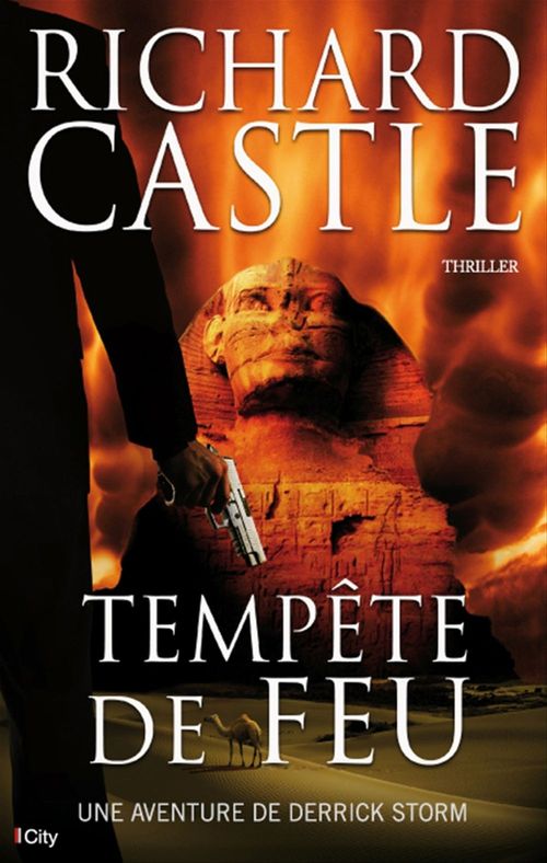 ebook cover of Tempête de Feu, by Richard Castle