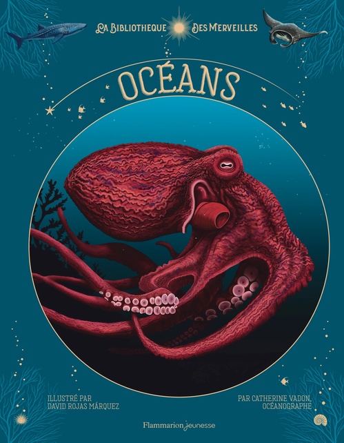 Couverture ebook de La Bibliothèque des merveilles - Les Océans, de Catherine Vadon, David Rojas Marquez
