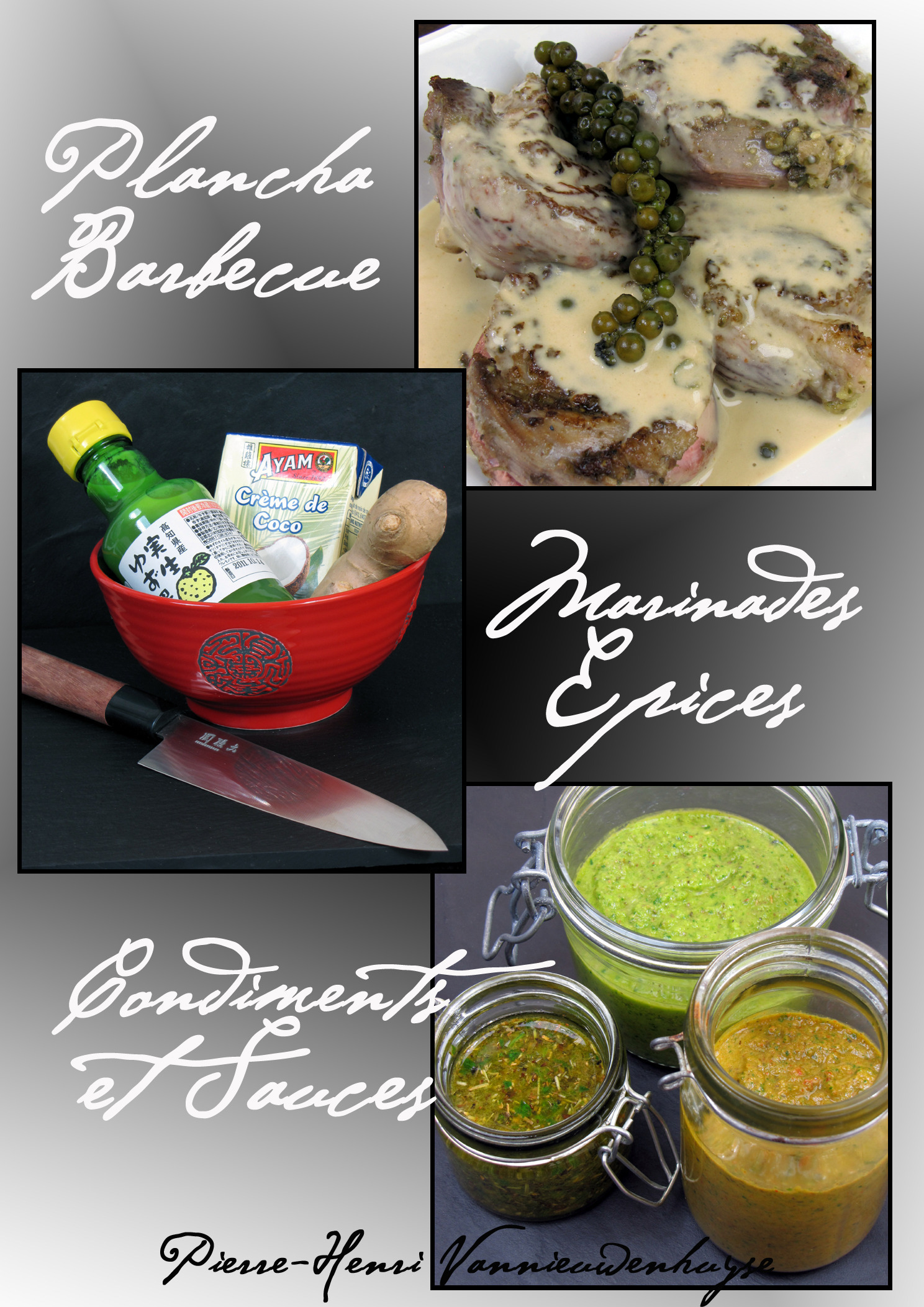 ebook cover of Plancha, Barbecue : Marinades, Epices, Condiments et Sauces, by Pierre-henri Vannieuwenhuyse
