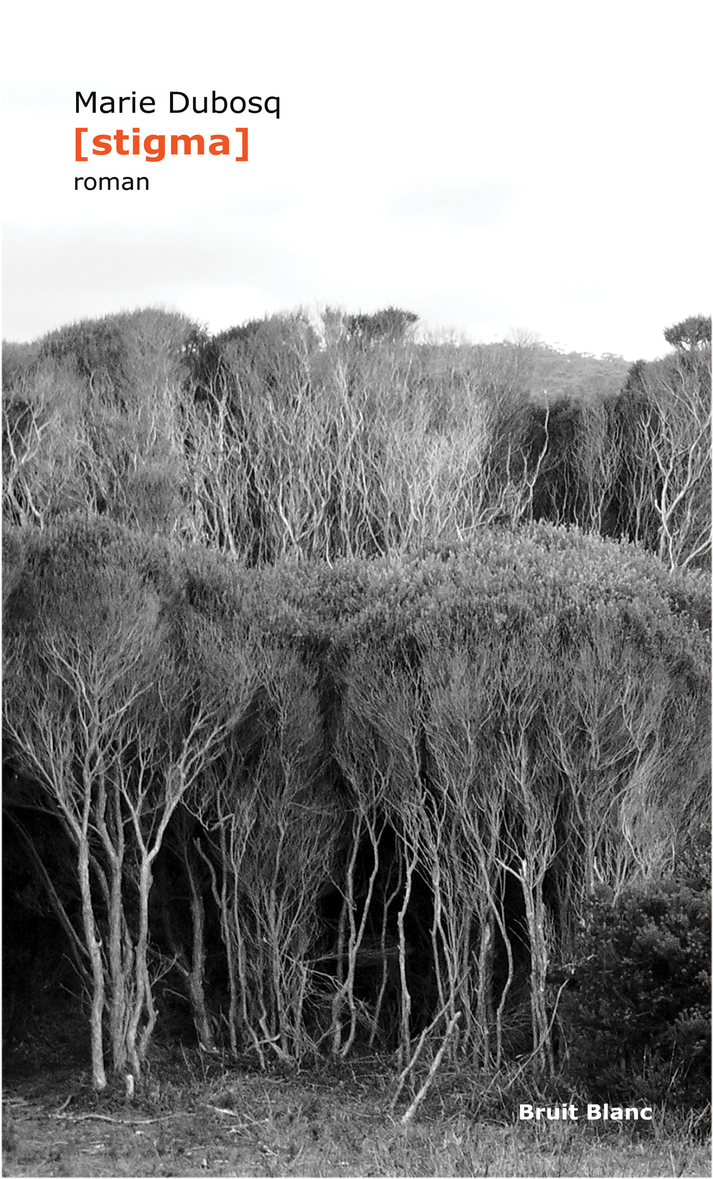 Couverture ebook de Stigma, de Marie Dubosq