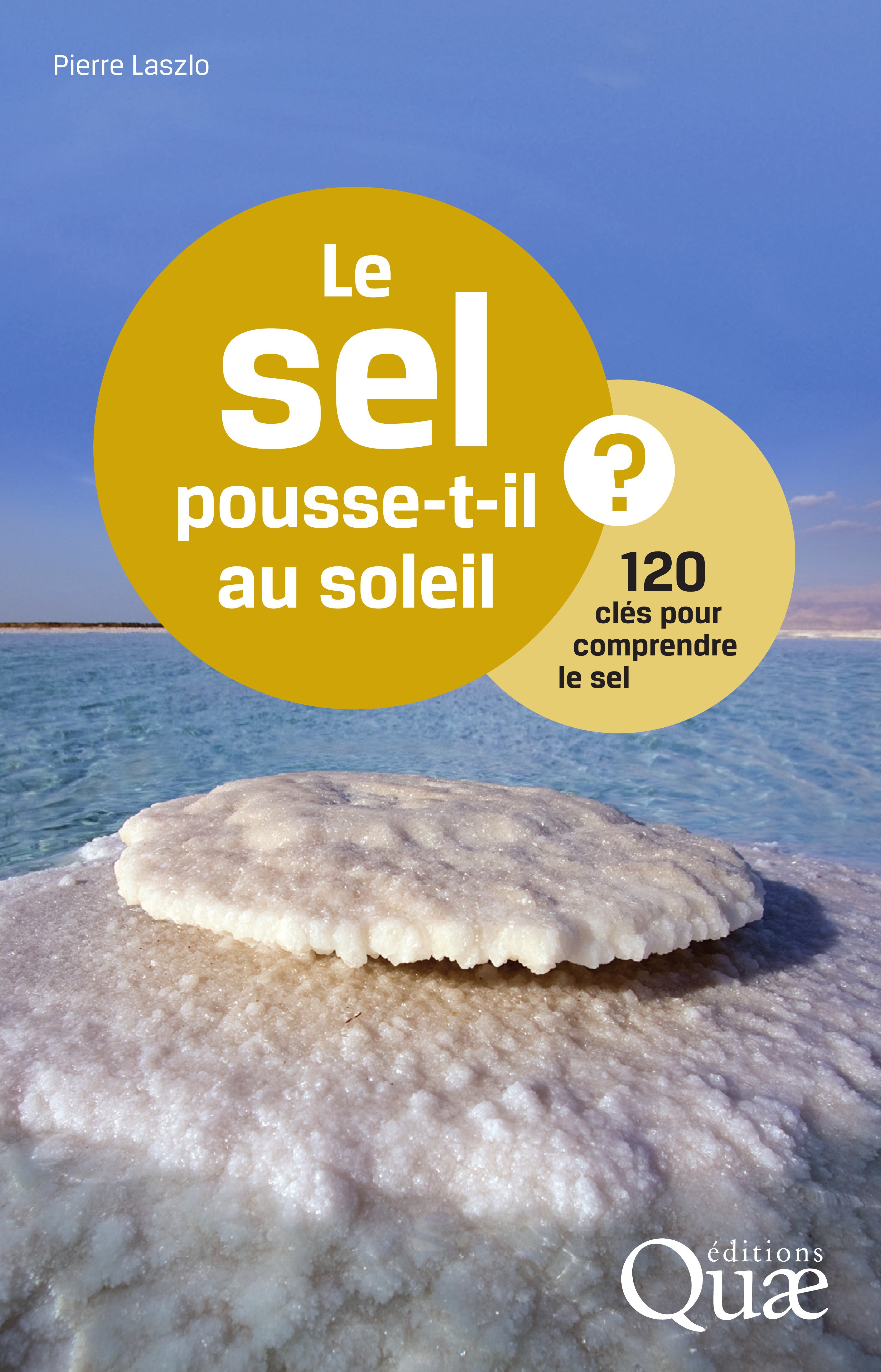 Couverture ebook de Le sel pousse-t-il au soleil ?, de Pierre Laszlo