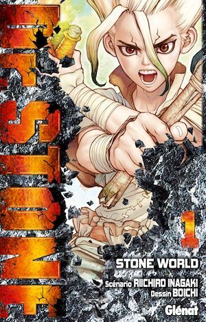 ebook cover of Dr. Stone - Tome 01, by Boichi
