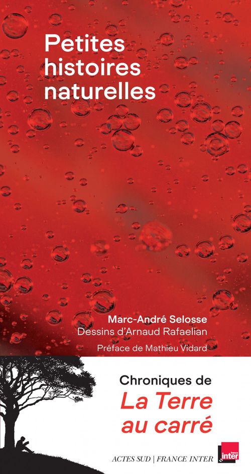 ebook cover of Petites histoires naturelles, by Marc-André Selosse, Arnaud Rafaelian