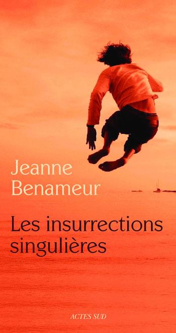 ebook cover of Les Insurrections singulières, by Jeanne Benameur