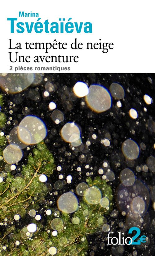 ebook cover of La tempête de neige - Une aventure, by Marina Tsvétaïéva