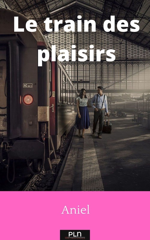 Couverture ebook de Le train des plaisirs, de Aniel