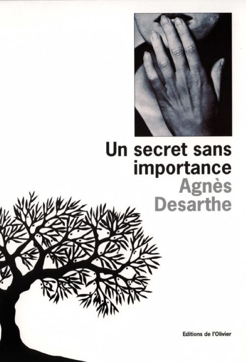 ebook cover of Un Secret Sans Importance, by Agnès Desarthe
