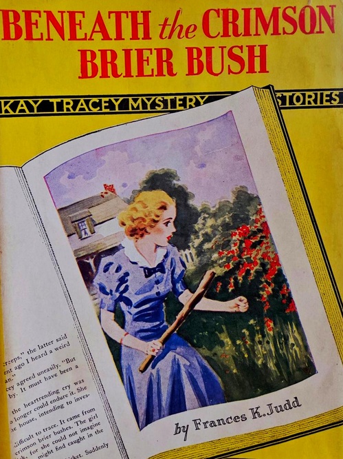 Couverture ebook de Beneath the Crimson Brier Bush, de Frances K. Judd