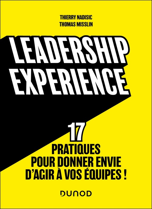 ebook cover of Leadership experience, by Thomas Misslin, Thierry Nadisic