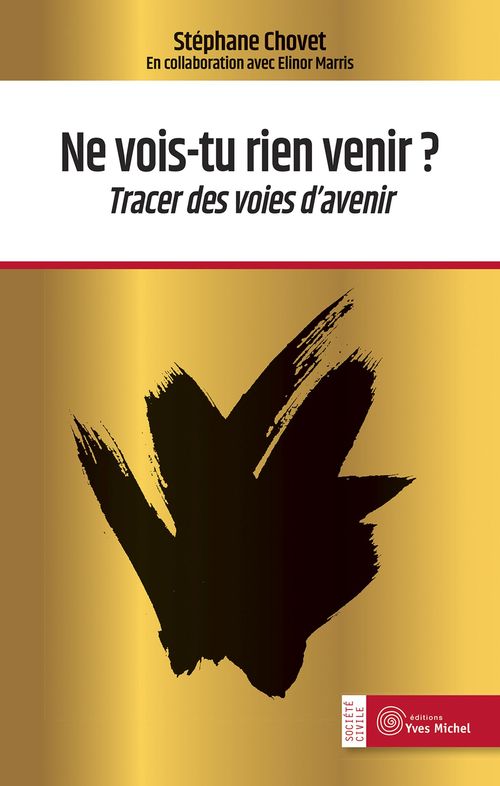 ebook cover of Ne vois-tu rien venir ? - Tracer des voies d'avenir, by Stéphane Chovet