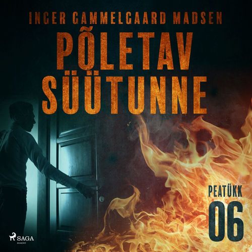 Couverture audiobook de Põletav süütunne - 6. peatükk, de Inger Gammelgaard Madsen
