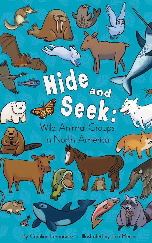 ebook cover of Hide and Seek:, by Caroline Fernandez