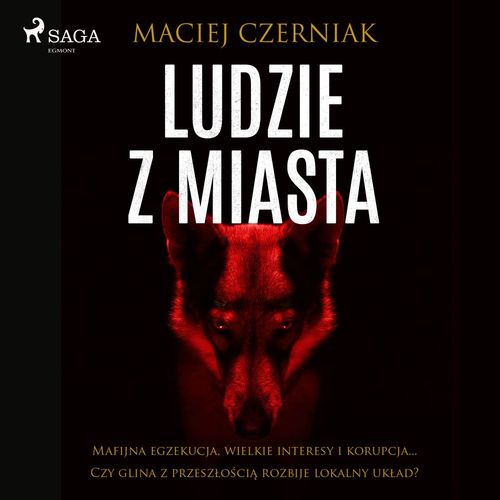 audiobook cover of Ludzie z miasta, by Maciej Czerniak
