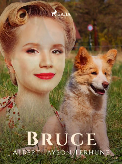 Couverture ebook de Bruce, de Albert Payson Terhune