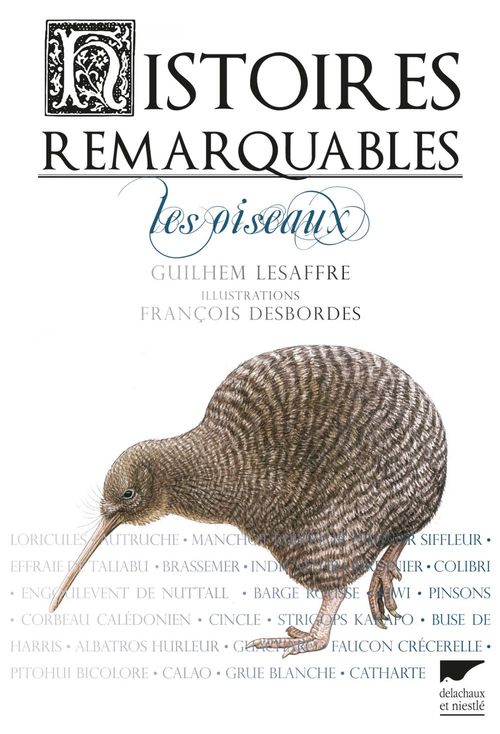 ebook cover of Histoires remarquables. Les oiseaux, by François Desbordes, Guilhem Lesaffre