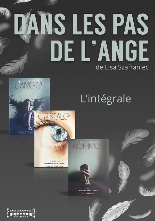 ebook cover of Dans les pas de l'ange, by Lisa Szafraniec