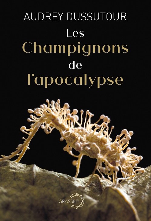 Couverture ebook de Les champignons de l'apocalypse, de Audrey Dussutour
