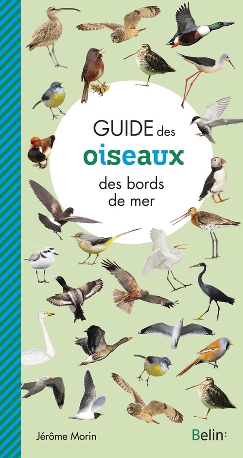 Couverture ebook de Guide des oiseaux des bords de mer, de Jérôme Morin