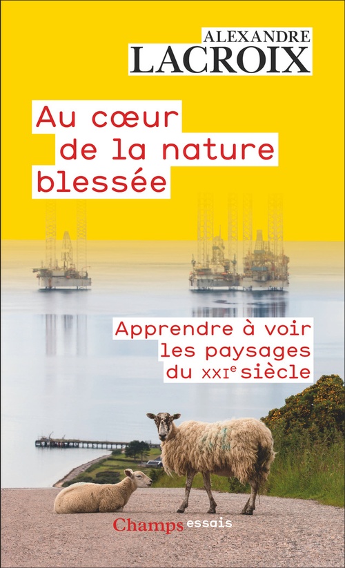 ebook cover of Au coeur de la nature blessée. Apprendre à voir les paysages du XXIe siècle, by Alexandre Lacroix