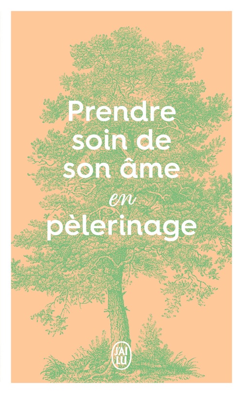 ebook cover of Prendre soin de son âme en pélerinage, by Anonyme